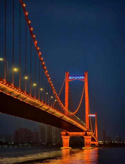 武汉限号鹦鹉洲，武汉鹦鹉大道限行-第3张图片-屿企百科网