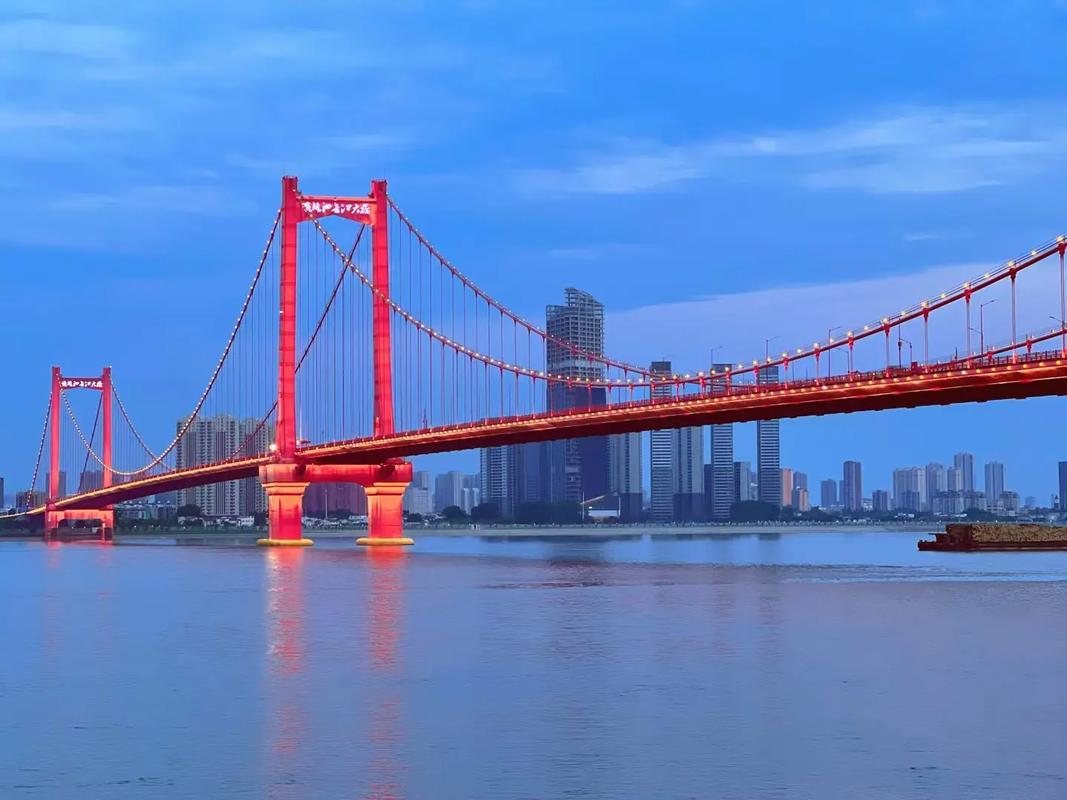 武汉限号鹦鹉洲，武汉鹦鹉大道限行-第4张图片-屿企百科网