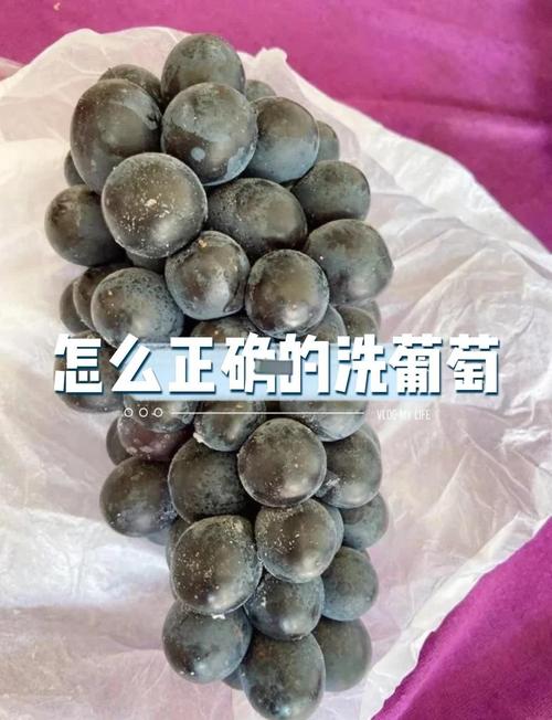 吃葡萄衣服弄脏了怎么洗，吃葡萄怎么洗比较好？-第1张图片-屿企百科网