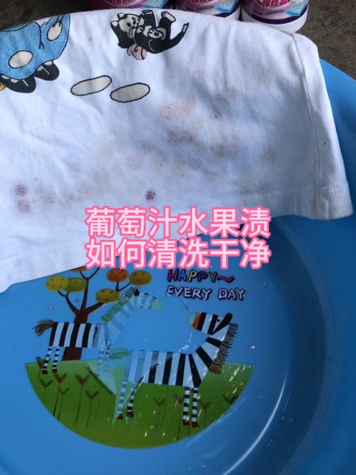 吃葡萄衣服弄脏了怎么洗，吃葡萄怎么洗比较好？-第2张图片-屿企百科网