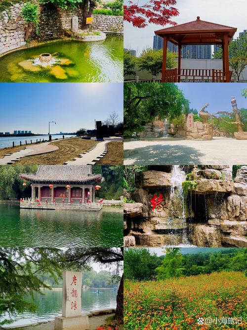 潍坊免费景点大全集，潍坊免费景点大全集图片-第6张图片-屿企百科网