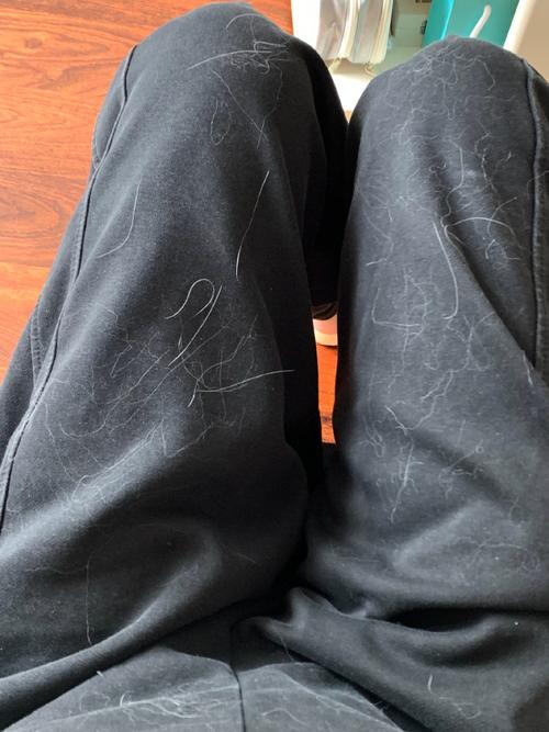 裤子粘毛是质量差吗，裤子粘毛是质量差吗知乎？-第1张图片-屿企百科网