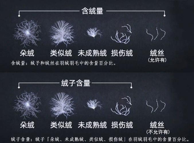 新国标羽绒服绒子含量越高越舒服吗?新国标羽绒服绒子含量越高越舒服吗为什么?-第1张图片-屿企百科网 新国标羽绒服绒子含量越高越舒服吗?新国标羽绒服绒子含量越高越舒服吗为什么?-第1张图片-屿企百科网