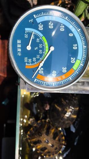 重庆历史天气温度，重庆历史天气温度查询-第6张图片-屿企百科网