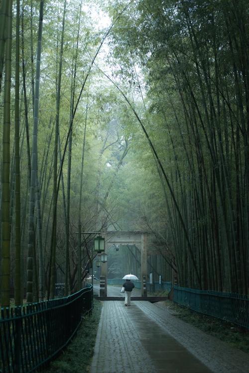 杭州西湖天气情况怎么样，杭州西湖天气情况怎么样啊？-第2张图片-屿企百科网