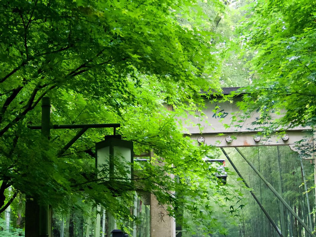 杭州西湖天气情况怎么样，杭州西湖天气情况怎么样啊？-第5张图片-屿企百科网