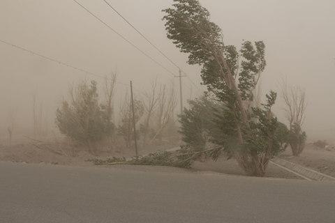 哈密伊州区一周天气，哈密伊州区近1周天气预报-第3张图片-屿企百科网