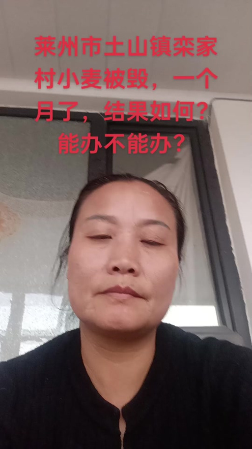 莱州天气预报查询，莱州天气预报查询40天？-第6张图片-屿企百科网