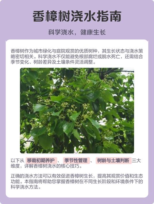 樟树天气30天预报，樟树天气30天预报查询-第5张图片-屿企百科网