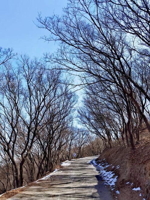 北京香山地区天气预报，北京香山地区天气预报15天？-第6张图片-屿企百科网