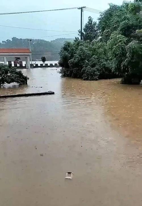 高州天气24小时实时预报？高州天气预报15天查询系统？-第4张图片-屿企百科网