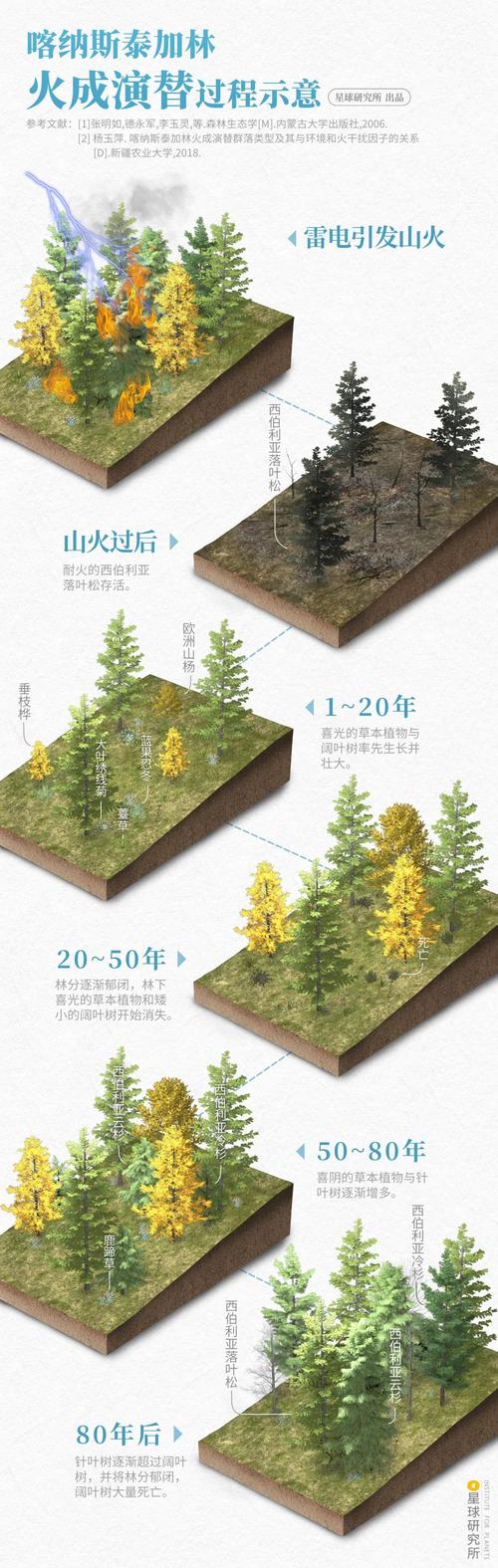 森林砍伐的最主要原因是什么，造成森林砍伐的最重要原因？-第5张图片-屿企百科网