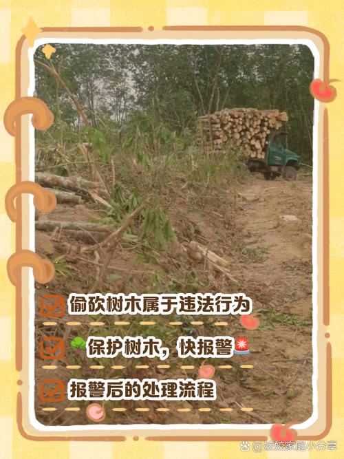 森林砍伐的最主要原因是什么，造成森林砍伐的最重要原因？-第7张图片-屿企百科网