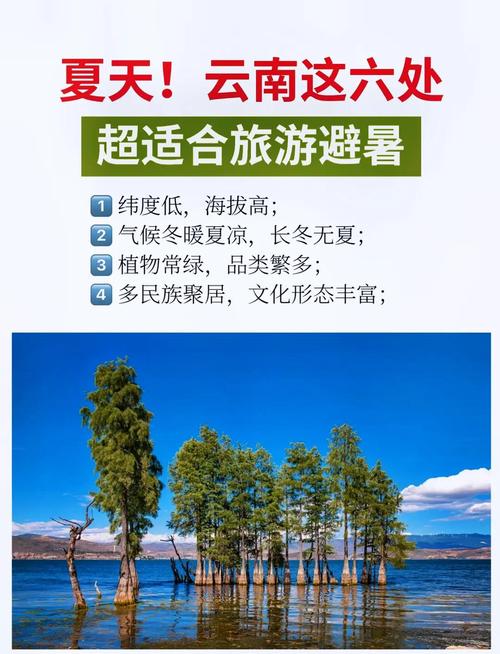 云南哪些地方气候高,云南哪些地方气候高温?-第4张图片-屿企百科网 云南哪些地方气候高,云南哪些地方气候高温?-第4张图片-屿企百科网