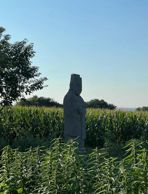 洛阳邙山为什么不能挖，洛阳邙山可怕吗？-第3张图片-屿企百科网