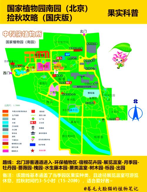 北京植物园开放时间，北京植物园开放时间及门票？-第5张图片-屿企百科网