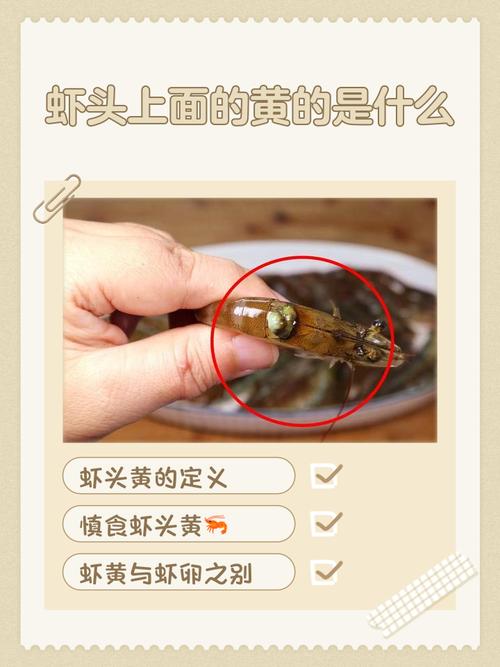 小龙虾头部的黄是什么器官，小龙虾头部的黄是胰腺吗，小龙虾头上黄黄的是什么能吃吗？-第2张图片-屿企百科网