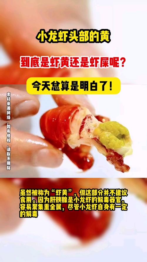 小龙虾头部的黄是什么器官，小龙虾头部的黄是胰腺吗，小龙虾头上黄黄的是什么能吃吗？-第3张图片-屿企百科网