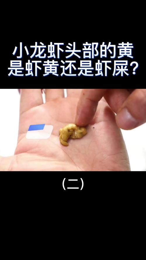 小龙虾头部的黄是什么器官，小龙虾头部的黄是胰腺吗，小龙虾头上黄黄的是什么能吃吗？-第5张图片-屿企百科网