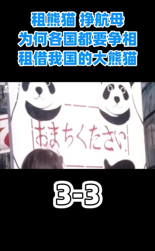 熊猫为什么各国都争抢？熊猫为何受到全球欢迎？-第3张图片-屿企百科网