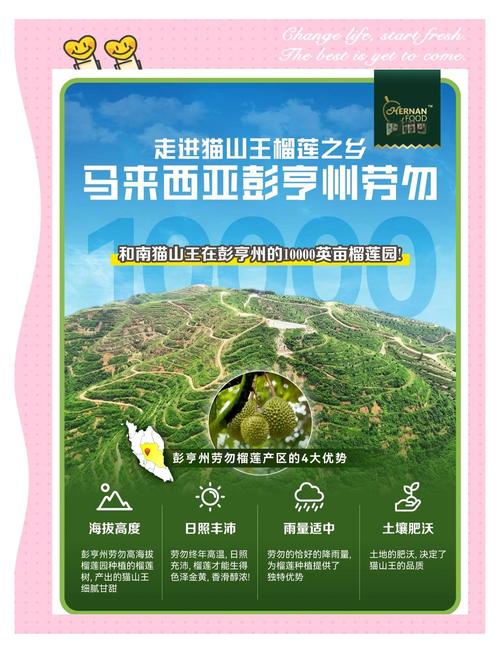 螃蟹中的六角形是什么，螃蟹中的六角星在哪里怎么去掉，螃蟹里的六角星吃了怎么样-第5张图片-屿企百科网