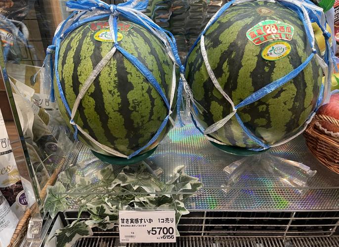 日本西瓜为什么贵？在日本西瓜为什么这么贵？-第1张图片-屿企百科网