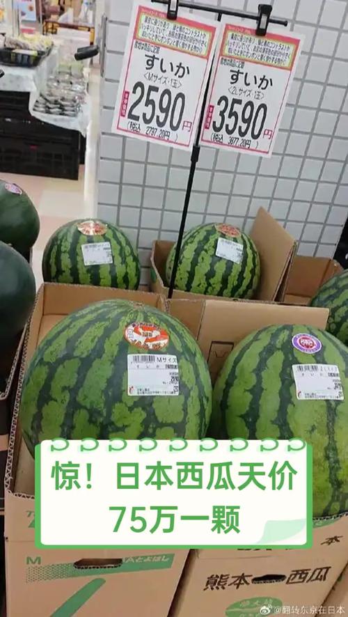 日本西瓜为什么贵？在日本西瓜为什么这么贵？-第3张图片-屿企百科网