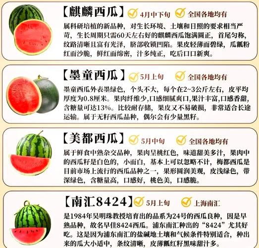 日本西瓜为什么贵？在日本西瓜为什么这么贵？-第4张图片-屿企百科网