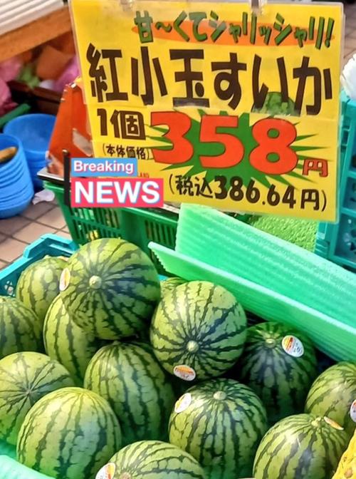 日本西瓜为什么贵？在日本西瓜为什么这么贵？-第8张图片-屿企百科网