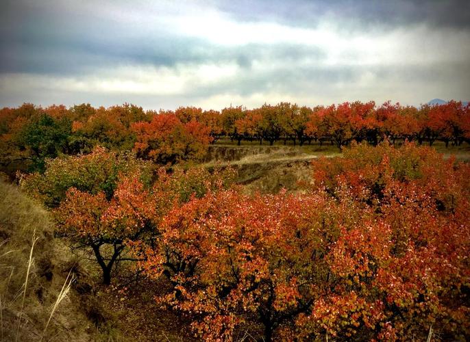 山西大同气候环境怎么样?山西大同气候特征?-第4张图片-屿企百科网 山西大同气候环境怎么样?山西大同气候特征?-第4张图片-屿企百科网