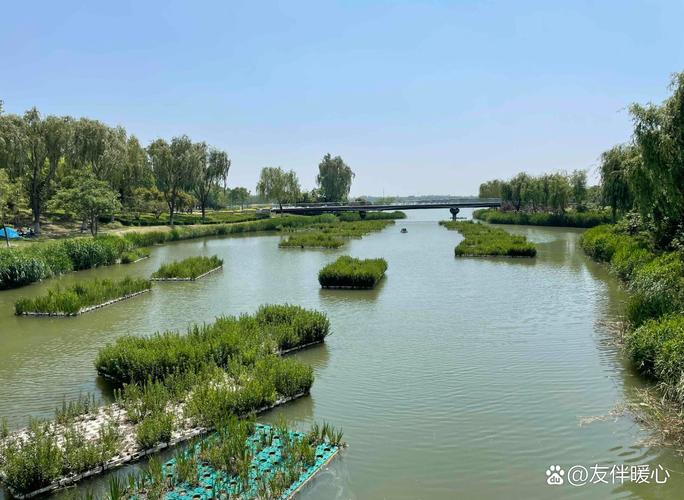 运河东岸拍不拍限号？运河东大街货车限行时间？-第5张图片-屿企百科网