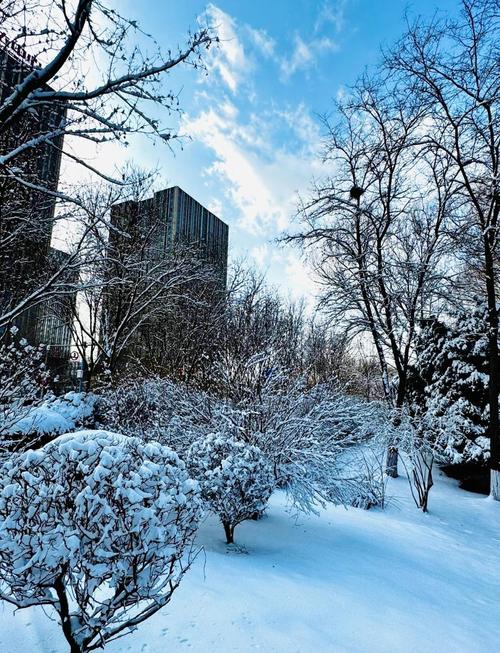 宁夏气温怎么样？宁夏气温如何？-第4张图片-屿企百科网