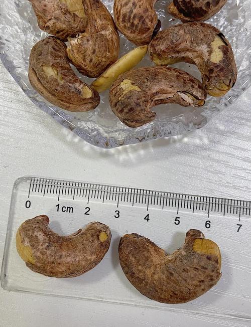 为什么紫皮腰果比普通的便宜,紫皮腰果与普通腰果哪个好?-第3张图片-屿企百科网 为什么紫皮腰果比普通的便宜,紫皮腰果与普通腰果哪个好?-第3张图片-屿企百科网