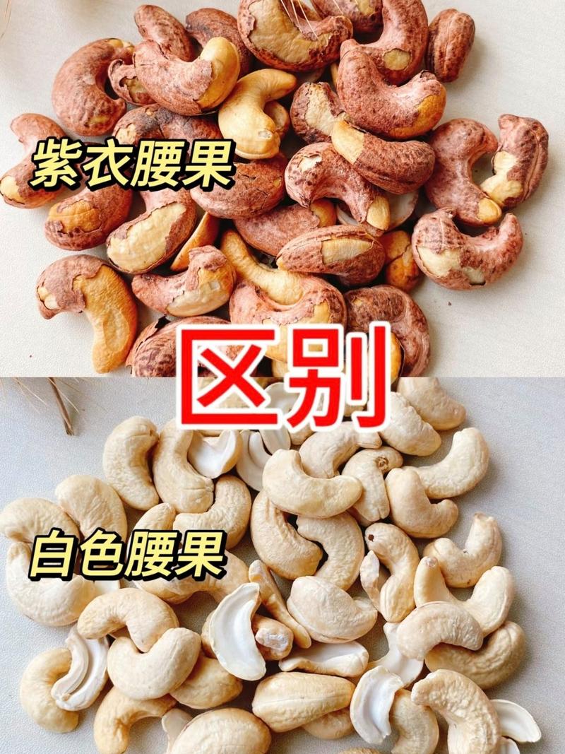 为什么紫皮腰果比普通的便宜,紫皮腰果与普通腰果哪个好?-第6张图片-屿企百科网 为什么紫皮腰果比普通的便宜,紫皮腰果与普通腰果哪个好?-第6张图片-屿企百科网