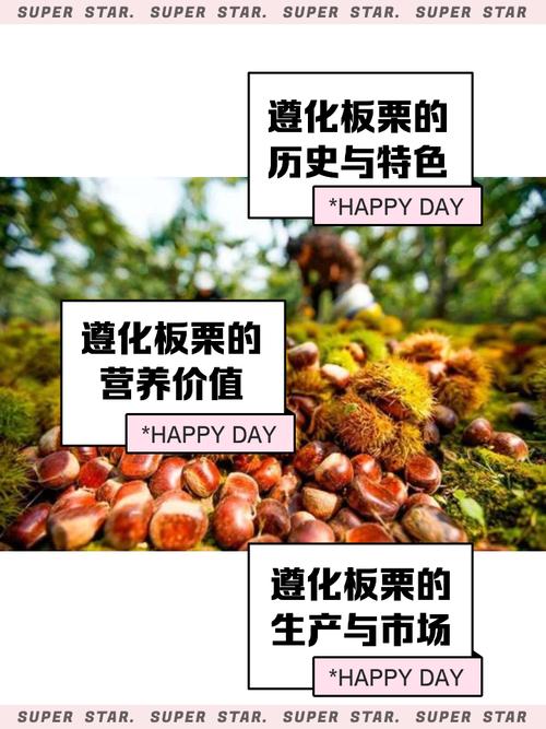 遵化市极低气温在哪一年？遵化20年最低气温？-第3张图片-屿企百科网