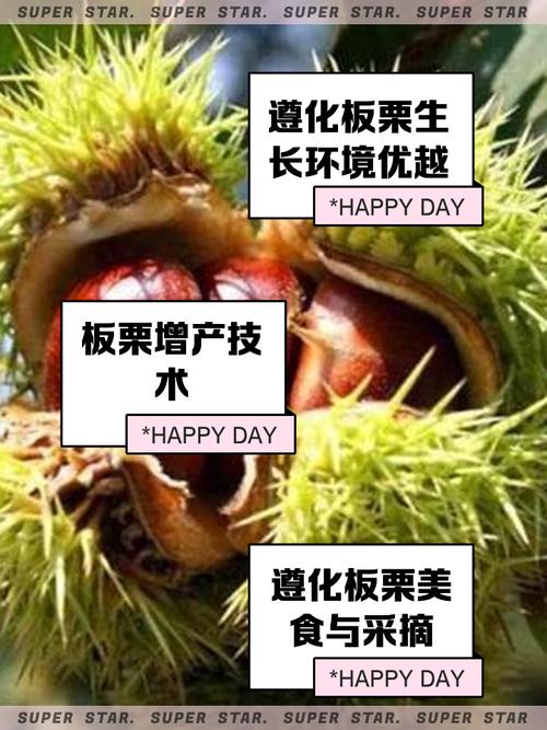 遵化市极低气温在哪一年？遵化20年最低气温？-第4张图片-屿企百科网