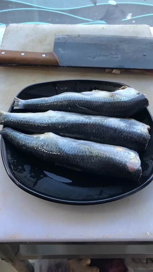 鲭鱼是什么鱼，鲭鱼是什么鱼图片-第2张图片-屿企百科网