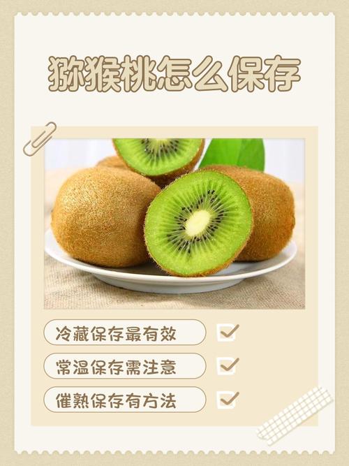 猕猴桃储存保鲜方法，猕猴桃如果保存-第1张图片-屿企百科网