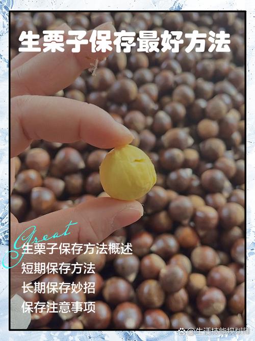 生板栗的储存与保鲜方法？生板栗 如何保存？-第2张图片-屿企百科网