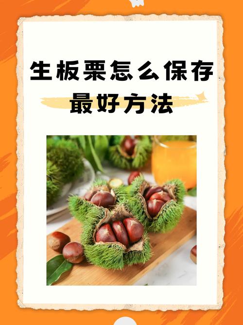 生板栗的储存与保鲜方法？生板栗 如何保存？-第3张图片-屿企百科网