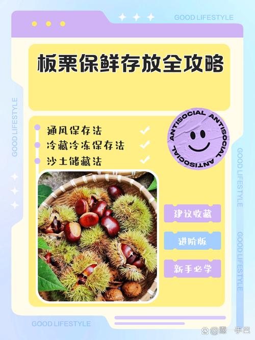 生板栗的储存与保鲜方法？生板栗 如何保存？-第5张图片-屿企百科网