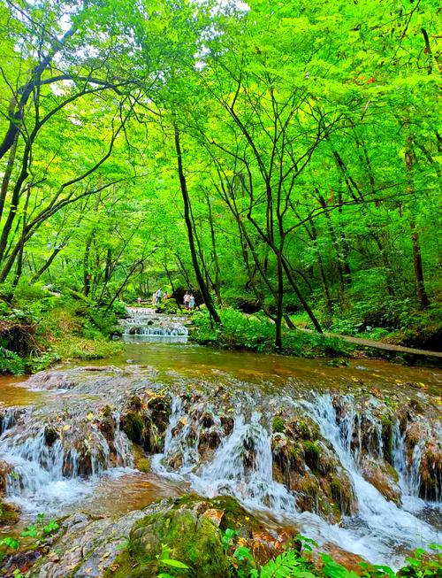 栾川必去的景点？栾川有啥景点？-第5张图片-屿企百科网