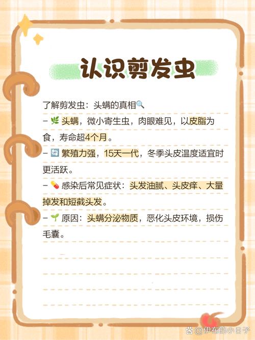 去剪发虫最简单的方法？去剪发虫最简单的方法图片？-第1张图片-屿企百科网