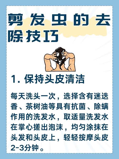 去剪发虫最简单的方法？去剪发虫最简单的方法图片？-第5张图片-屿企百科网