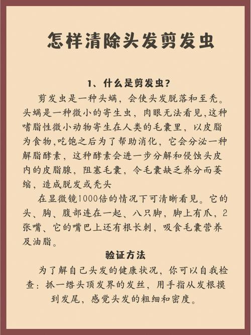 去剪发虫最简单的方法？去剪发虫最简单的方法图片？-第7张图片-屿企百科网