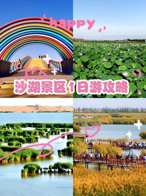 宁夏沙湖一日游，宁夏沙湖一日游作文750字-第5张图片-屿企百科网