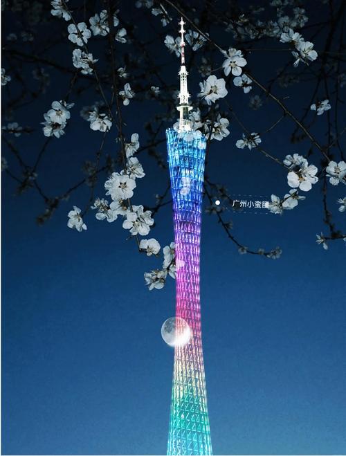 佛山一天游哪里比较好玩，佛山市内一日游哪里好玩？-第3张图片-屿企百科网