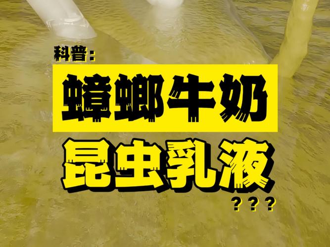 蟑螂奶是什么蟑螂产出来的奶吗，蟑螂奶是怎么发现的？蟑螂奶多少钱一罐？-第3张图片-屿企百科网