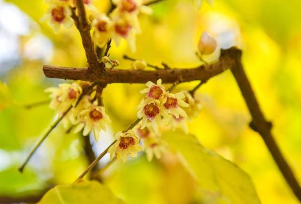 今天阳春天气比较高气温,阳春市近十天天气怎样-第3张图片-屿企百科网 今天阳春天气比较高气温,阳春市近十天天气怎样-第3张图片-屿企百科网
