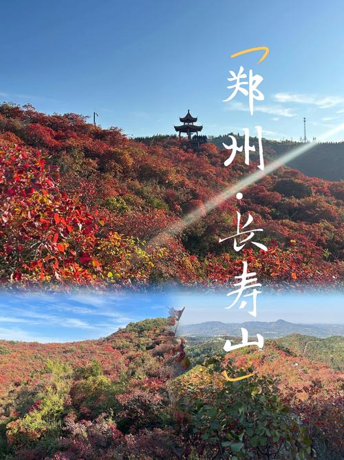 巩义10月12号限号，巩义市10月限号？-第4张图片-屿企百科网
